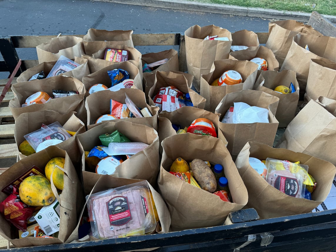 Rows of grocery care bags assembled for community distribution